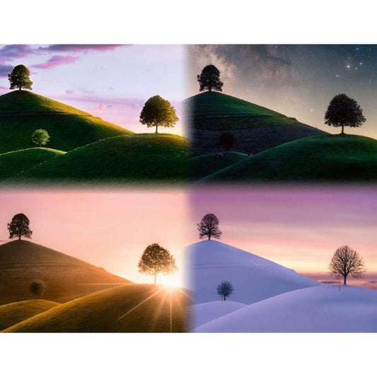 Ravensburger 2000pc Seasons Illustration Puzzle