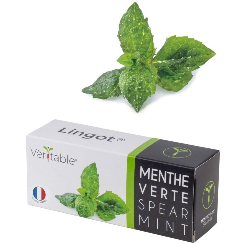 Véritable® Seed Lingot® Mint Spearmint