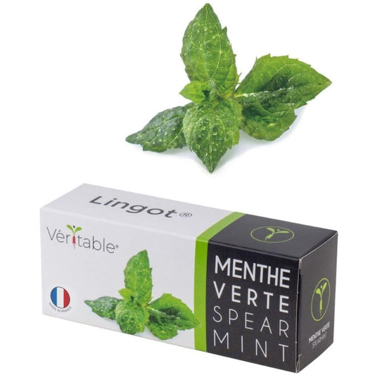 Véritable® Seed Lingot® Mint Spearmint