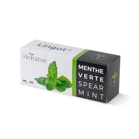 Véritable® Seed Lingot® Mint Spearmint