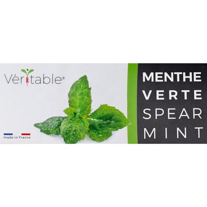 Véritable® Seed Lingot® Mint Spearmint
