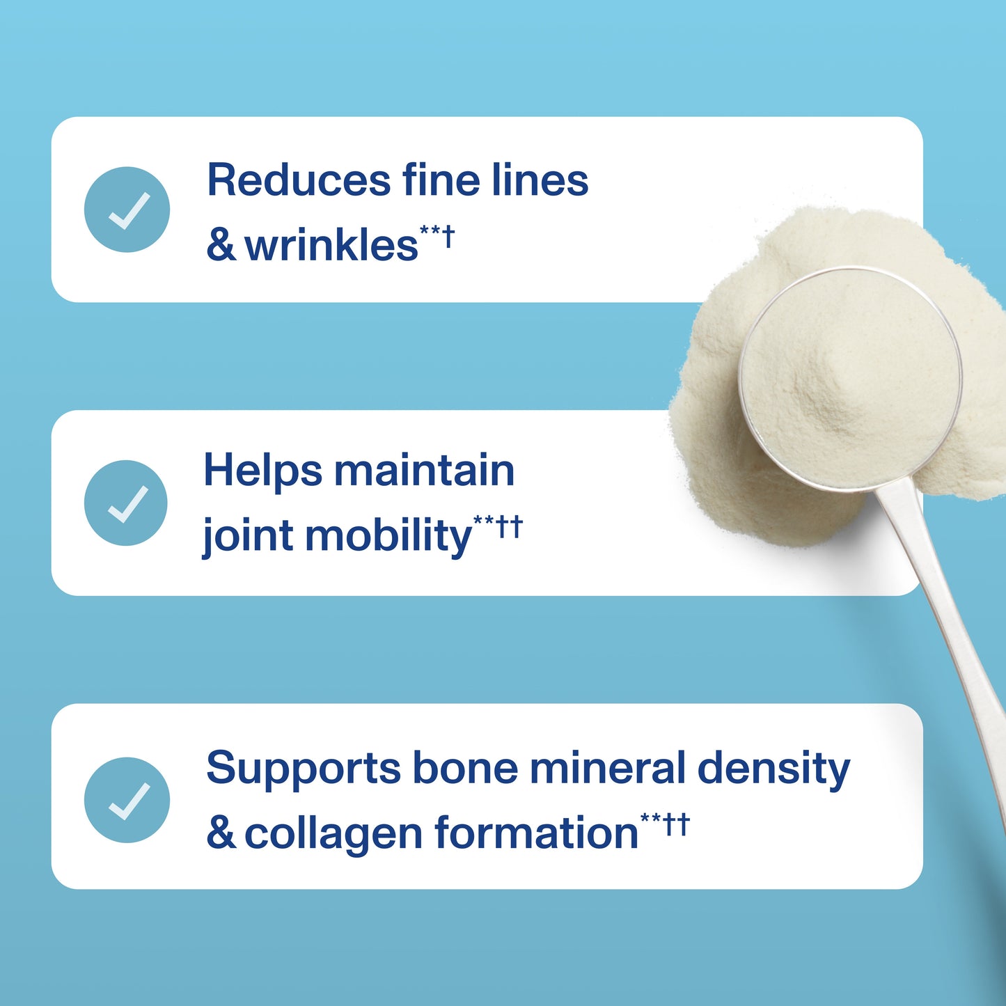 Daily Foundational Support - Unflavored