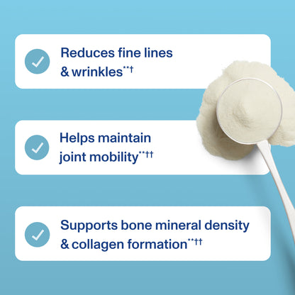 Daily Foundational Support - Unflavored