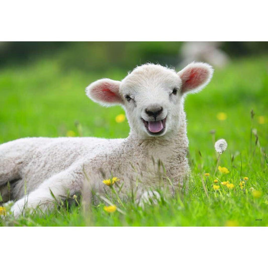 Ravensburger 2x12pc Farm Animals Babies Jigsaw Puzzle