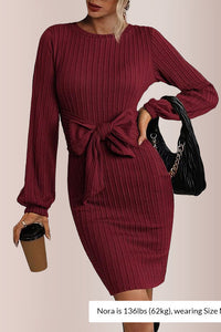 Elegant Knit Long Lantern Sleeve Fall Bodycon