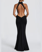 Willluxe® High Neck Halter Backless Maxi Dress