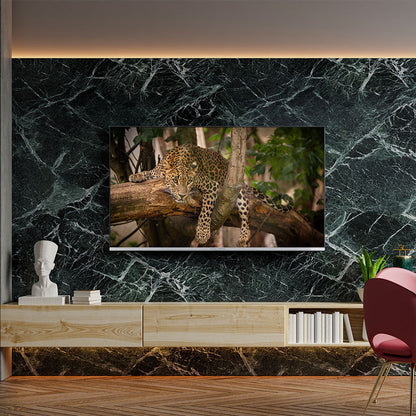 50in QLED 4K Ultra HD Smart TV