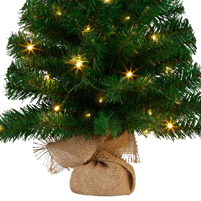 Christabelle 61cm Christmas Tree Chadwick Green Pre-Lit LED Lights Tabletop Mini Small