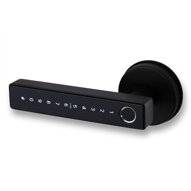 Auslock Novo Series N25 Door Handle Smart Lock (Black)