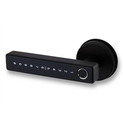 Auslock Novo Series N25 Door Handle Smart Lock (Black)